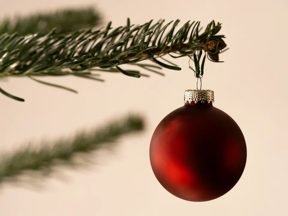 A red bauble hanging from a Christmas tree branch